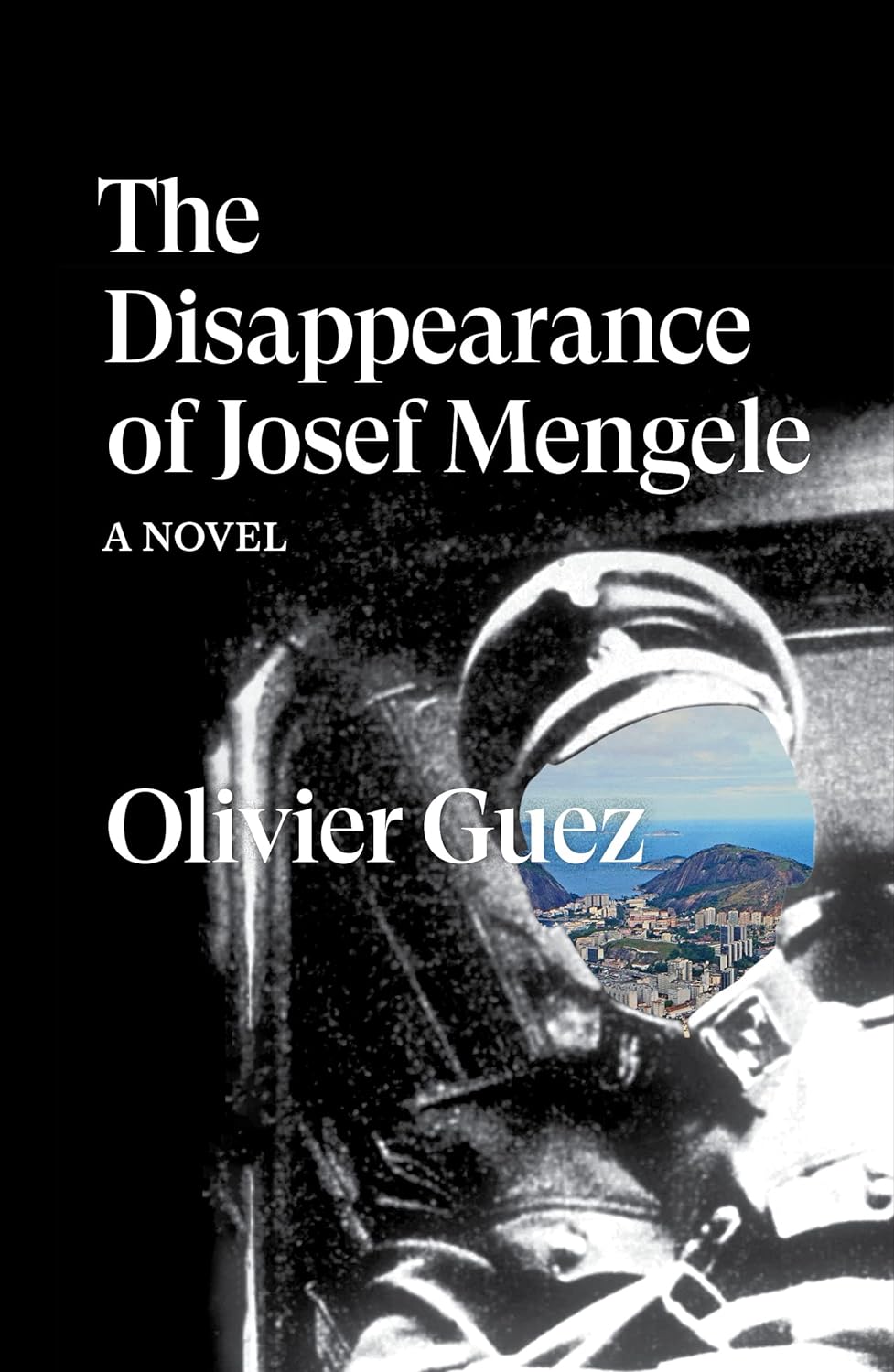 The Disappearance of Josef Mengele: A Novel