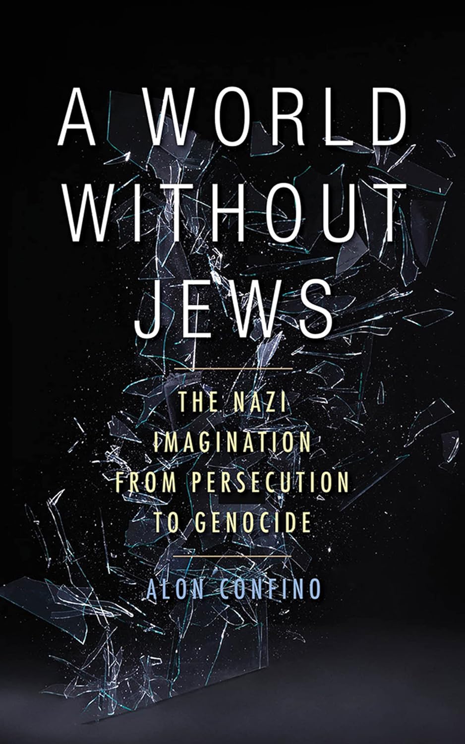 A World Without Jews: The Nazi Imagination from Persecution to Genocide