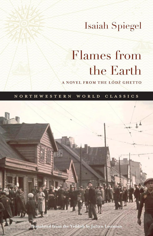 Flames from the Earth: Novel from the Lódz Ghetto