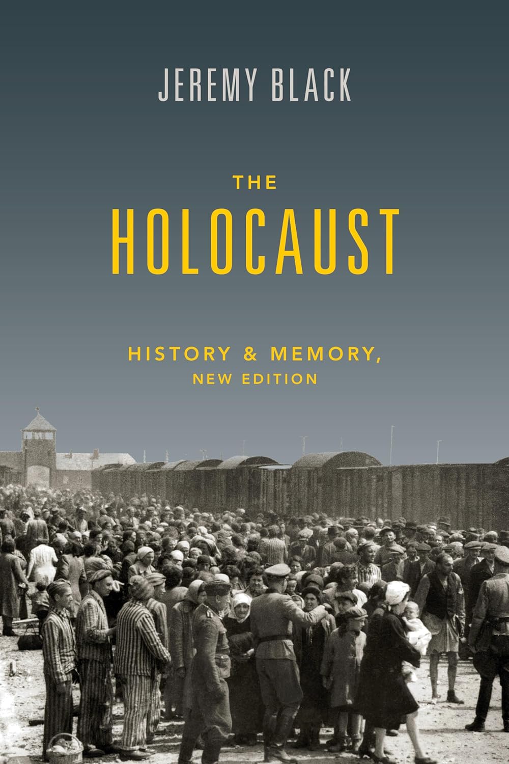 The Holocaust: History and Memory (2nd Edition)
