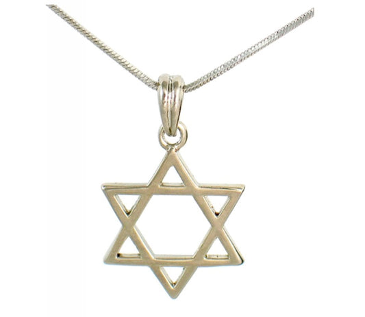 Classic Star of David Rhodium Necklace