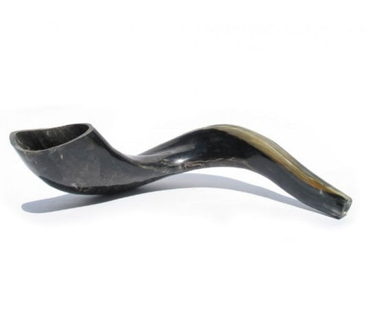 Large Black Polished Ram's Horn Shofar