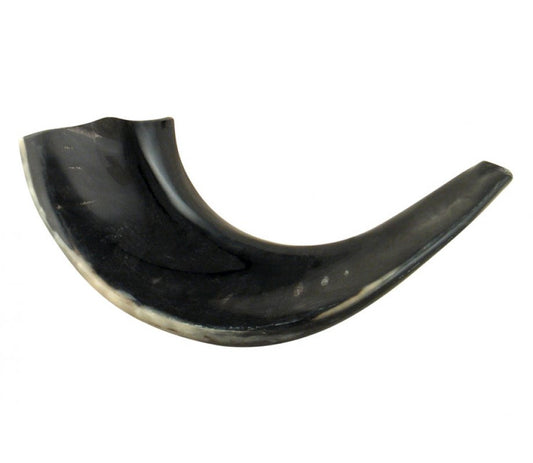 Small Polished Rams Horn Shofar (Black)